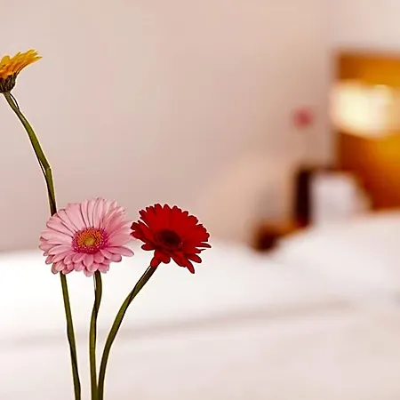 Hotel.pension.golingen מלון