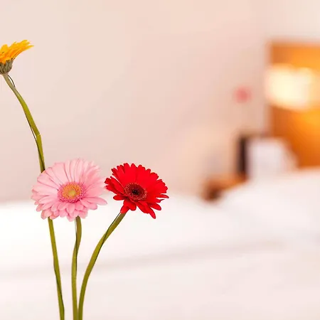 Hotel Hotel.pension.golingen Golling an der Salzach