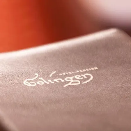 Hotel.pension.golingen Hotel Golling an der Salzach